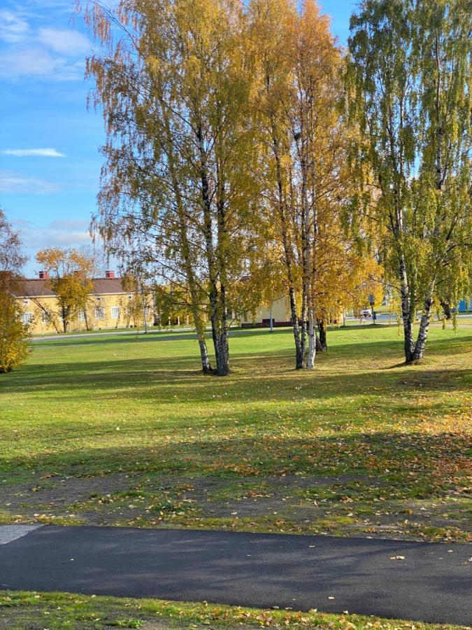 Kemi City Ll, Near Snowcastle, Premium 3 Rooms, Kitchen , Glazed Balcony Free Parking Eksteriør billede
